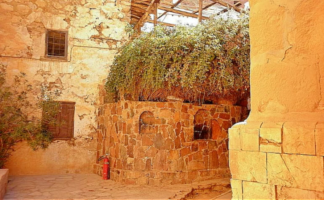 Buisson ardent monastère de Sainte-Catherine